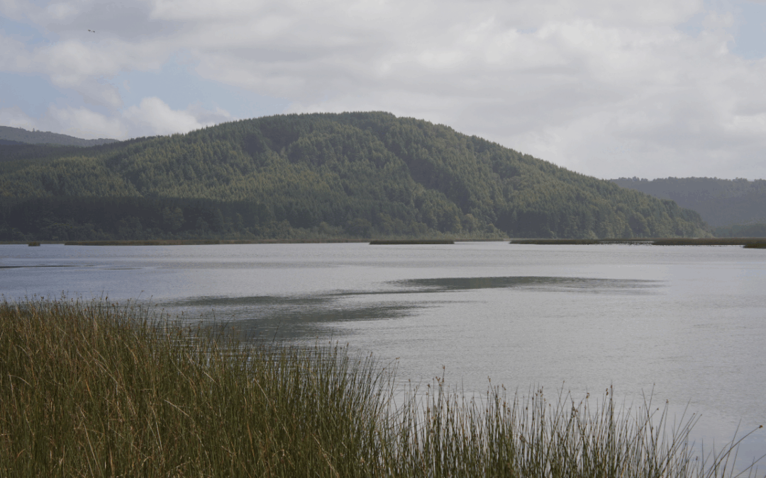 Punucapa empieza en el río
